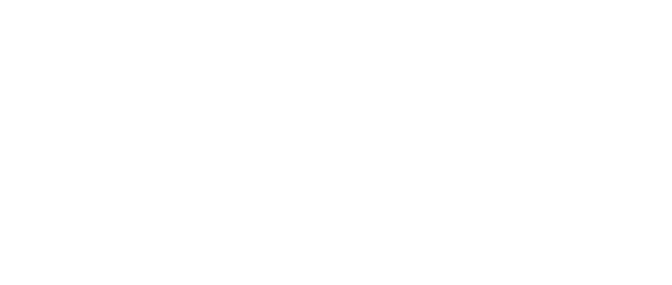 Miller & Martin PLLC